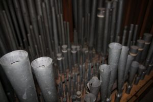 Scholtze-Orgel im Dom St. Marien - Pfeifen