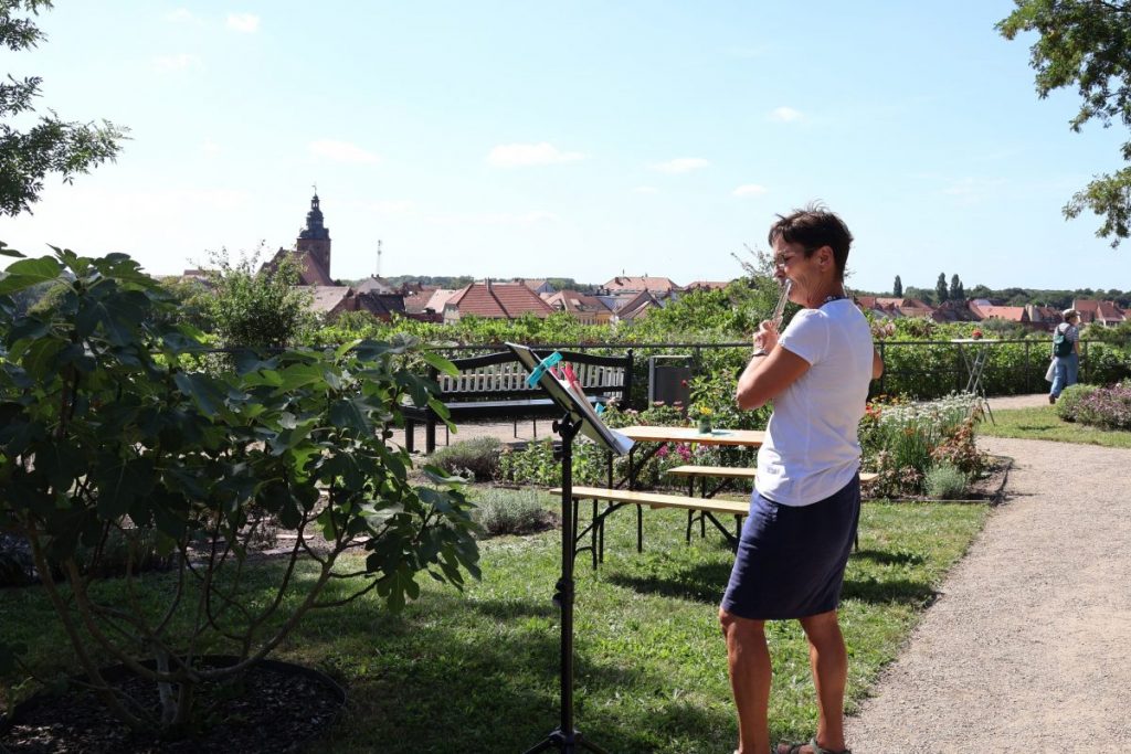 Havelberg Domweihfest 2025: Judith Tetzlaff vom Havelberger Instrumentalensemble musizierte mit der Querflöte im Klostergarten. So konnten die Besucher Garten, Wein und Musik genießen.