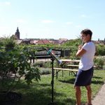 Havelberg Domweihfest 2025: Judith Tetzlaff vom Havelberger Instrumentalensemble musizierte mit der Querflöte im Klostergarten. So konnten die Besucher Garten, Wein und Musik genießen.
